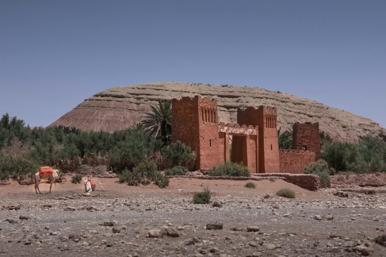 Zagora Desert Tours