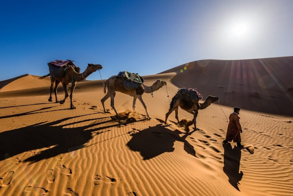 Camel Trek Morocco